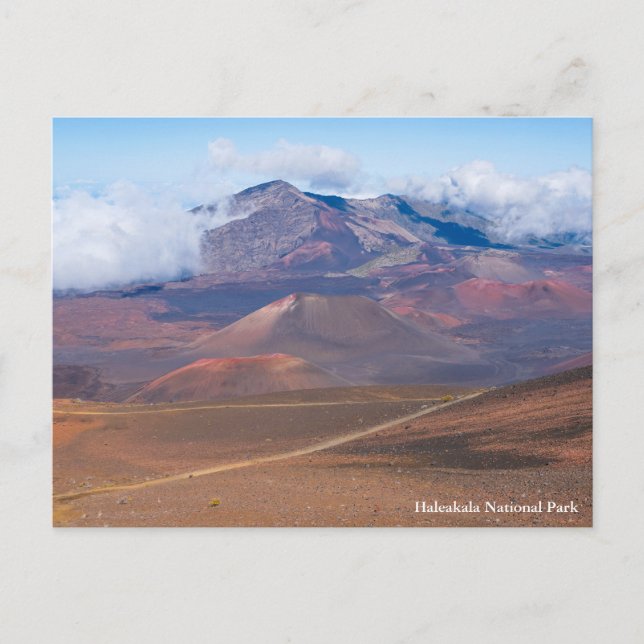 Kundkonger och berg i haleakalakater helg vykort (Framsida)
