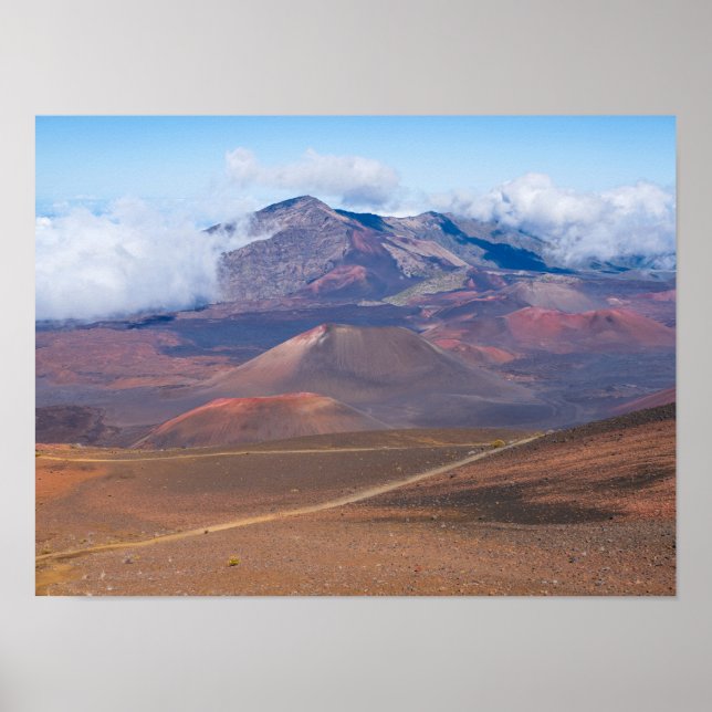 Kundkonger och berg i haleakalakater poster (Framsidan)