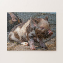KuneKune Piglet Pussel