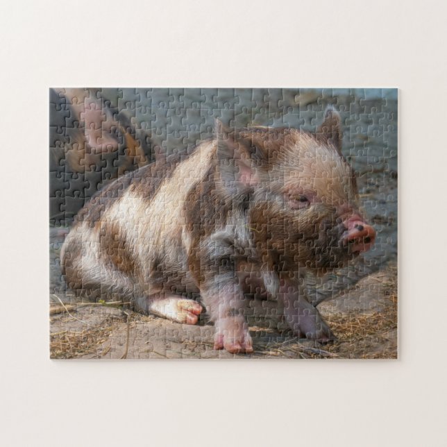KuneKune Piglet Pussel (Horisontell)