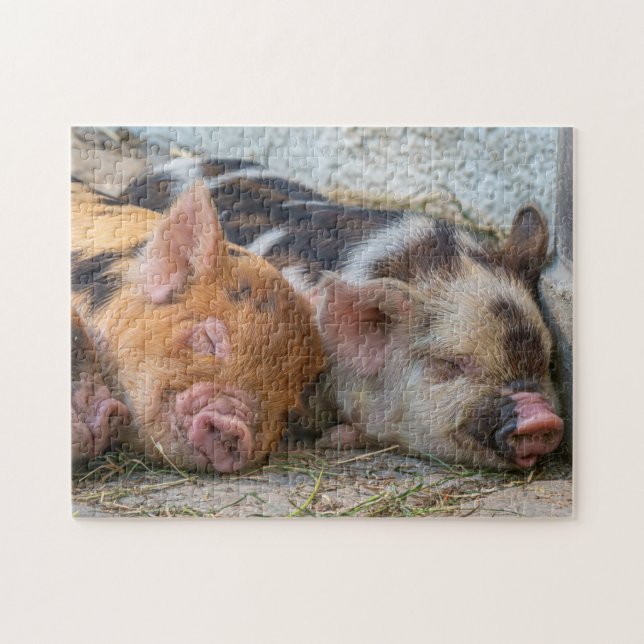 KuneKune Piglets Pussel (Horisontell)