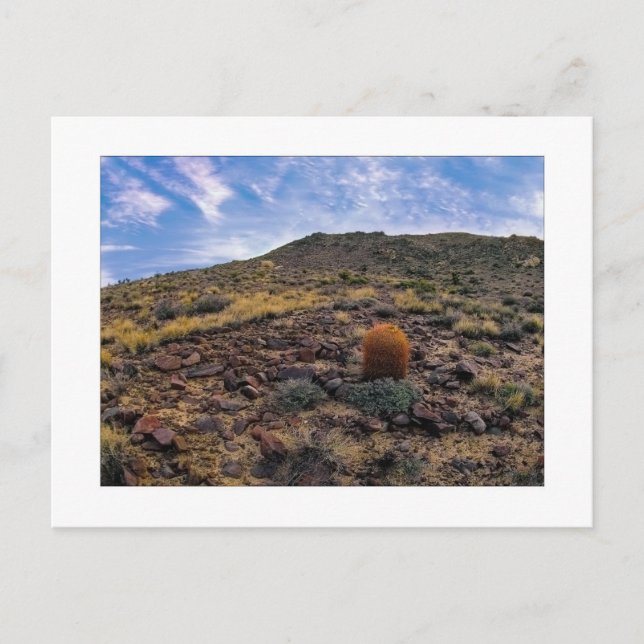 "Kung Av Kullen" Vykort (Framsida)