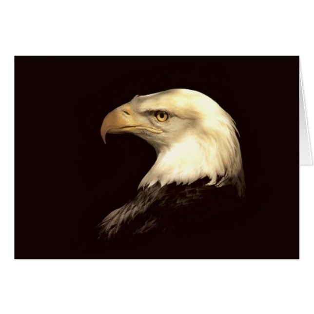 kung av reklambladet hälsningskort (Framsidan Horizontal)