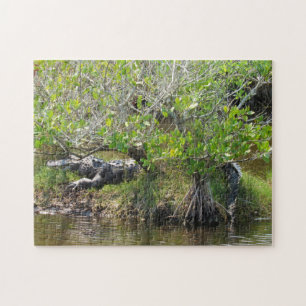 Kung av träsket - Alligator Jigszons Puzzle Pussel