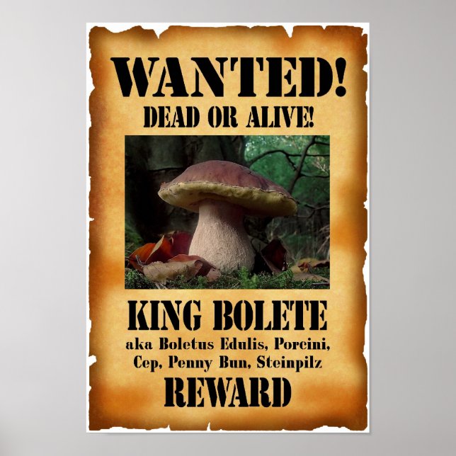 Kung Bolete - Wanted Dead eller Alive Poster (Framsidan)