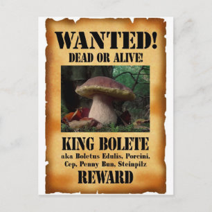 Kung Bolete - Wanted Dead eller Alive Vykort