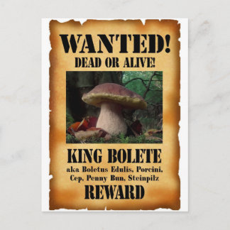 Kung Bolete - Wanted Dead eller Alive Vykort