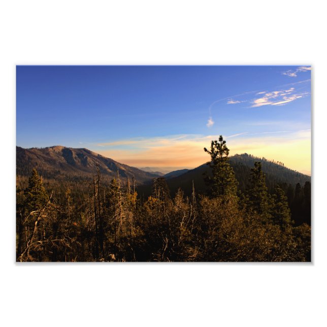 Kung Canyon nationalpark Fototryck (Framsidan)