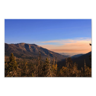 Kung Canyon nationalpark Fototryck