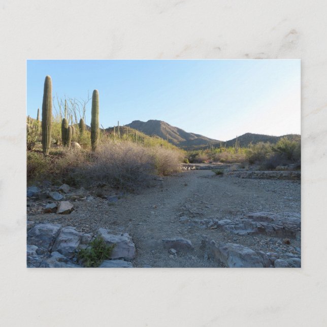 Kung Canyon Trail I Vykort (Framsida)