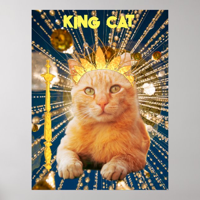 Kung Cat Funny Poster sällskapsdjur och husdjur (Framsidan)