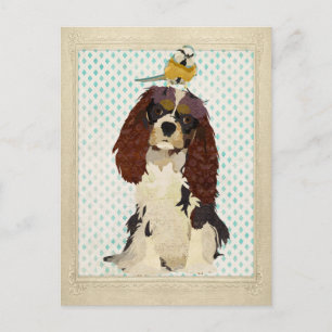 Kung Cavalier & Little Bird Postcard Vykort