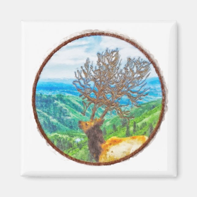 Kung Cervus Magnet (Framsidan)