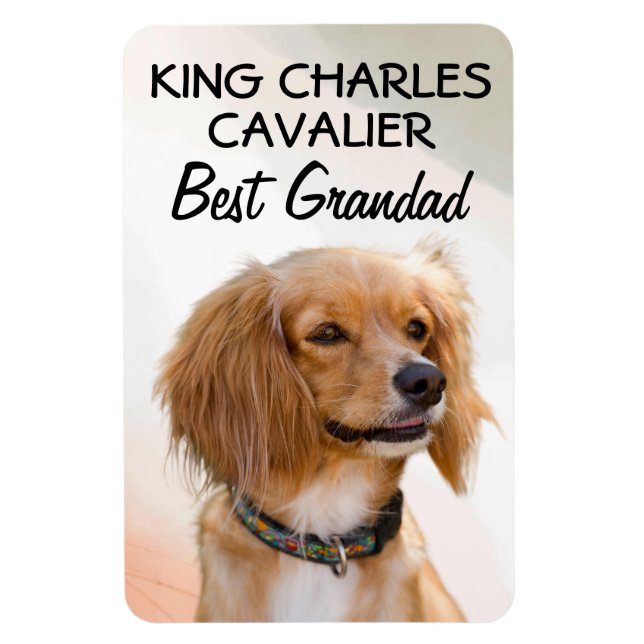 Kung Charles Cavalier Best Grandad Magnet (Vertikal)