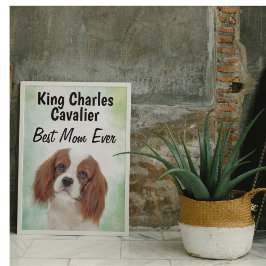 Kung Charles Cavalier Best Mamma Poster