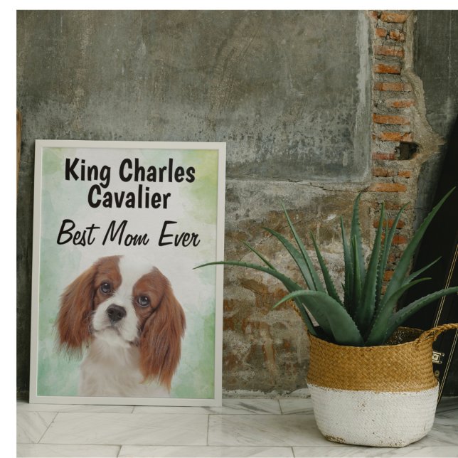 Kung Charles Cavalier Best Mamma Poster (Skapare uppladdad)