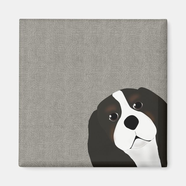 Kung Charles Cavalier Magnet (Framsidan)