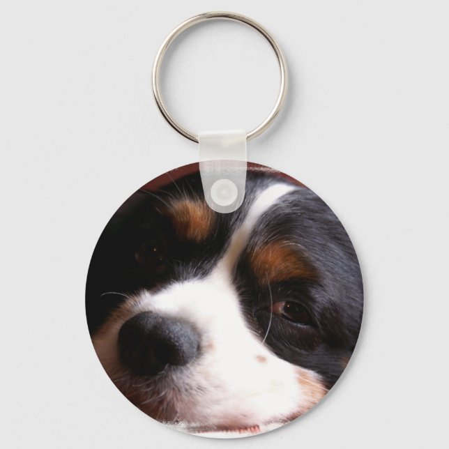 Kung Charles Cavalier Spain Keychain Nyckelring (Framsida)