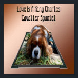 Kung Charles Cavalier Spain, pop out Art Poster<br><div class="desc">Bild i en popout-konst är en Kung Charles Cavalier-spanjor,  med ord kärlek är en kavalierspanjor</div>