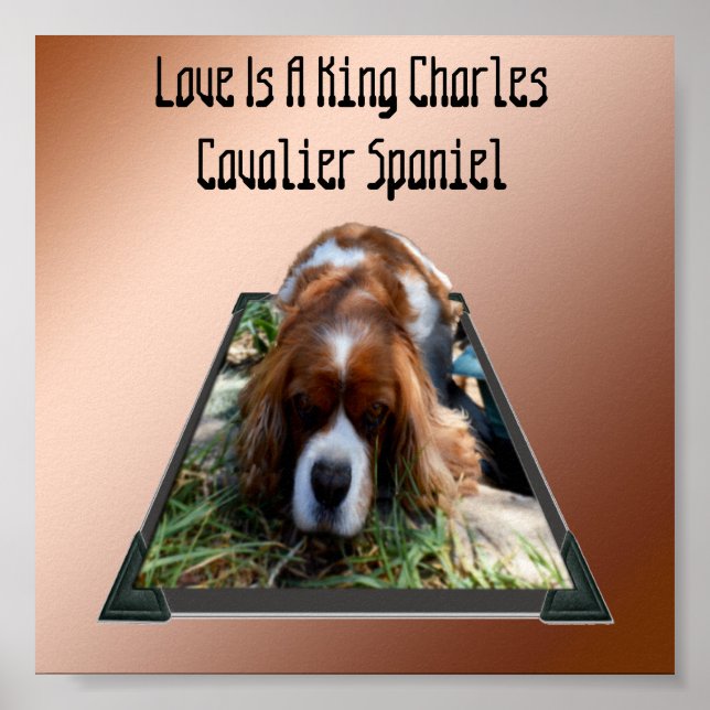 Kung Charles Cavalier Spain, pop out Art Poster (Framsidan)