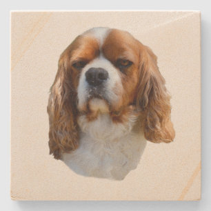 Kung Charles Cavalier Spain Stenunderlägg