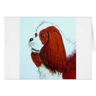 Kung Charles Cavalier spanel Hälsningskort