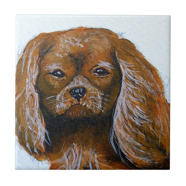 Kung Charles Cavalier spanel red Kakelplatta (Framsidan)