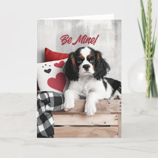 Kung Charles Spain Puppy Valentine Card Tack Kort