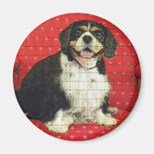 KUNG CHARLES SPANIAL MAGNET