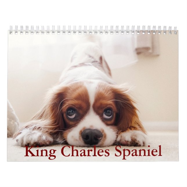 Kung Charles Spaniel Calendar Kalender (Omslag)