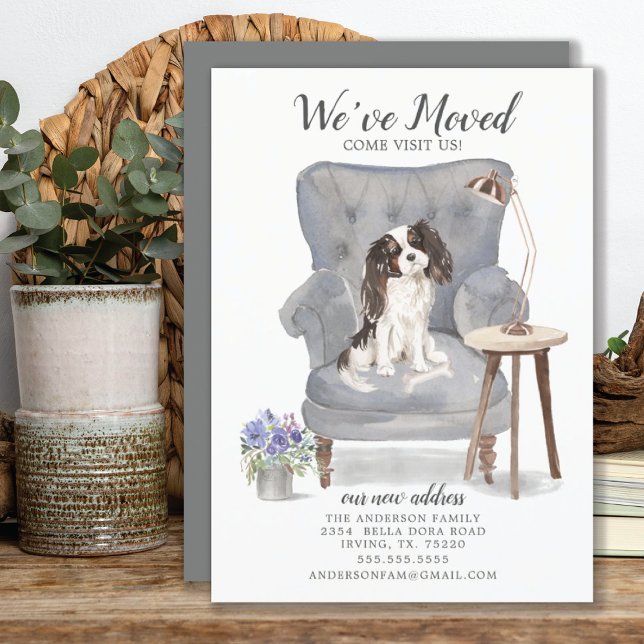 Kung Charles Spaniel Hund | Meddelande om Flytta (Skapare uppladdad)
