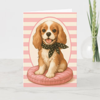 Kung Charles Spaniel Kort