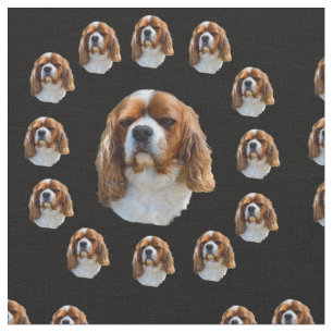 Kung Charles Spaniel Mönster, Tyg
