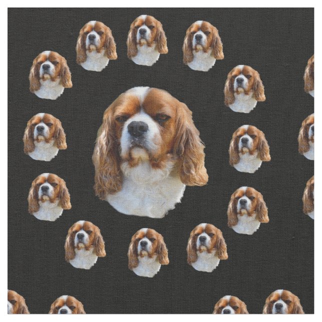 Kung Charles Spaniel Mönster, Tyg (Närbild)