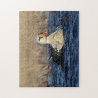 Kung Eider Bird Puzzle Pussel