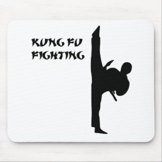 Kung fu beklär sparkar musmatta