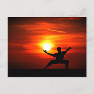 Kung fu Fighting! Helg Vykort