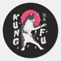 Kung fu Katt