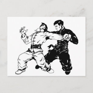 KUNG FU SOPA VYKORT