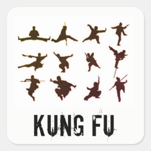 KUNG FU STICKER FYRKANTIGT KLISTERMÄRKE