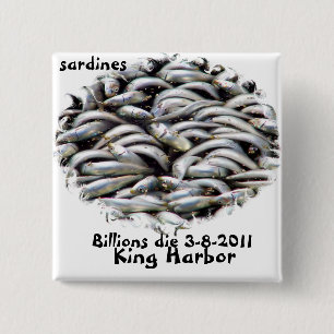 Kung Harbour-Sardines_ Knapp