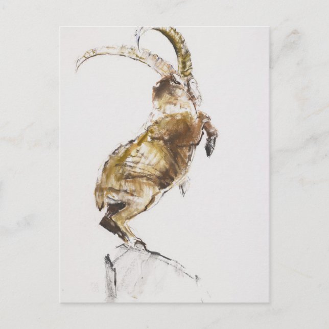 Kung i berget 2005 vykort (Framsida)