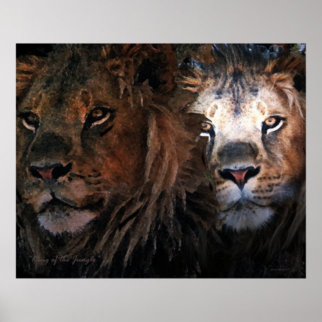 Kung i Jungle Poster (Framsidan)