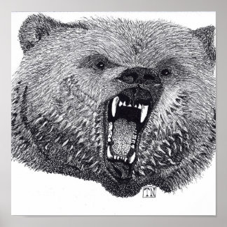 Kung i Vilderna poster grizzlybjörn.