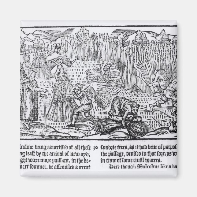 Kung Malcolm of Scotland Magnet (Framsidan)