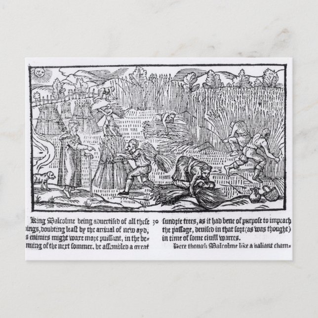 Kung Malcolm of Scotland Vykort (Framsida)