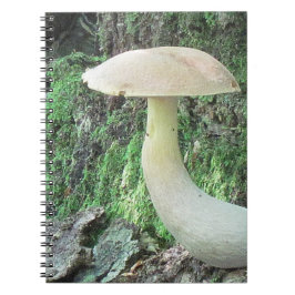 Kung Mushroom bärbar dator Anteckningsbok Med Spiral