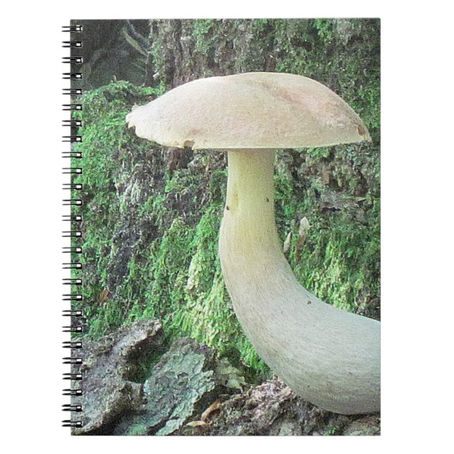 Kung Mushroom bärbar dator Anteckningsbok Med Spiral (Framsidan)