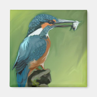 Kung och fiskmagnet magnet