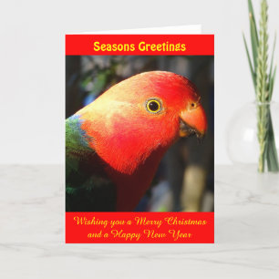 Kung Parrot Julafton Card Helgkort